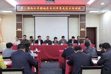 技术推广服务中心 驱动创新与产业升级的核心引擎